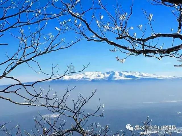 3D公共巴士停靠2