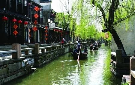 危险的社会